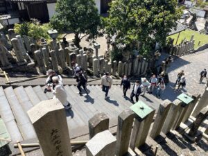 2023年（春）奈良公園ウォーキング